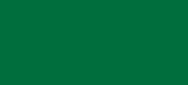 евроштакетник зеленая мята RAL 6029